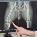 동탄시티동물의료센터