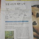 슈가툴 네이버블로그