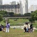 나성중학교 이미지