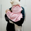 디자인팩토리봄 이미지