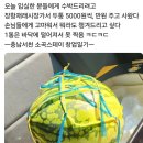 소곡스테이 이미지