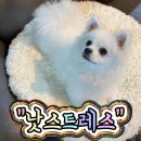 낫스트레스