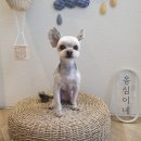 옹심이네살롱 이미지