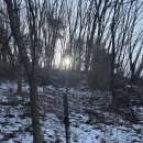 원주굽이길 13코스 구학산둘레숲길 이미지