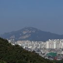 홍릉초교 이미지