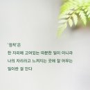 장수-11 이미지