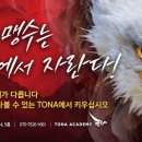 토나아카데미