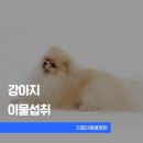 지한동물병원 네이버블로그
