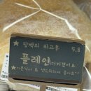 동락 | [제주 한림 카페] 속이 편안한 천연발효빵 맛집, 아이와 함께 가기 좋은 '동명동락' 솔직 후기