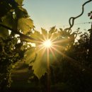 주식회사 케이티 이미지