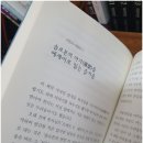 동네책방지적허영 이미지