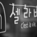 셀라비