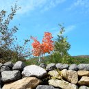 상순이 쉼터 이미지