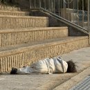 클럽미즈라미체의원