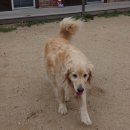 삼남매와 뭉치네 캠핑장 이미지