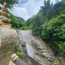 대가연꽃테마공원 이미지