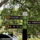 라드라비 Daum카페