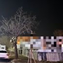 카페밤 이미지