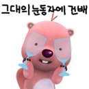 김셰프의도시어부