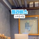 벨라비스