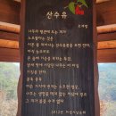 산수유축제장 이미지