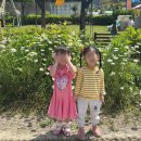 제이그림나라유치원 이미지