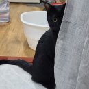 목포해물탕 이미지