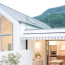 섬진강대나무숲길 이미지