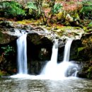 그린밸리펜션 이미지