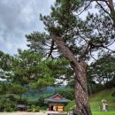 길벗여행사주 - 파주시 경의로 1803 | 영월 구봉대산에서 나를 돌아보다