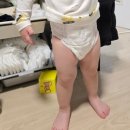 모모래빗 에코 컴포트핏 팬티 기저귀 사용후기