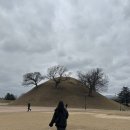 타로와 함께 떠나는 여행(취미반) | 경주 1박 2일 여행 기록, 친구들이랑 함께한 놀고먹기 여행🤪