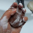 봉황목장 이미지