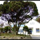 남평버스정류장 이미지