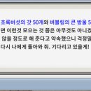 메이플씨티 이미지