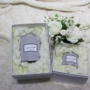 코코소이캔들