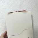 위올 | 위올 파우치 ouior pouch 선물 후기 / 여자 파우치 추천