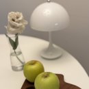 달콤한 밥상 | 제철 과일 시나노골드 달콤한 황금사과 후기