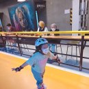 용인대 스타 태권도장 이미지