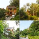 백야자연휴양림 이미지