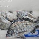 땅끝호