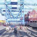 부산신항국제터미널(PNIT) 이미지