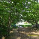 이미순농장 이미지