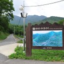대야산자연휴양림 네이버블로그