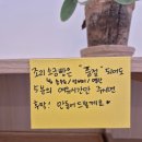 제제딜라잇 이미지