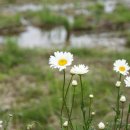 명보장여관 이미지