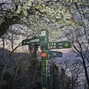 쌍근항 이미지