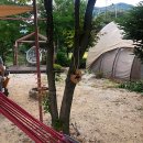 별다리 캠핑 이미지