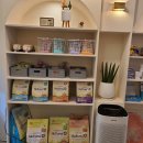 콩순이의 식탁 이미지