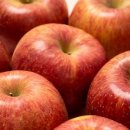 충주농약마트 | 사과 선물세트 고르는 방법과 보관 꿀팁 완벽정리